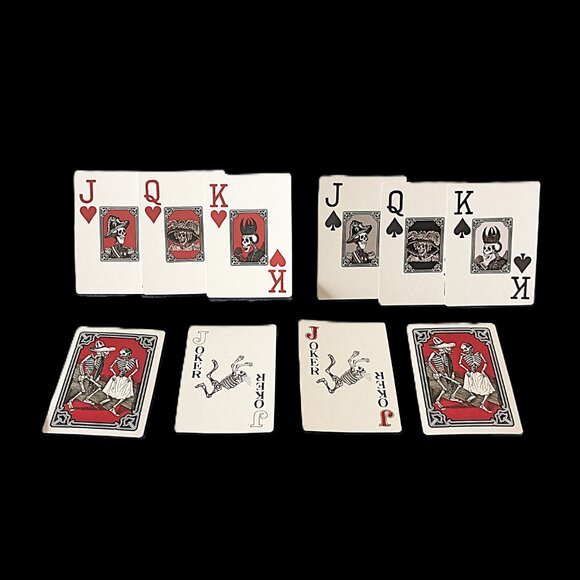 Day of the Dead RARE Playing Cards NWOT - Picture 3 of 8